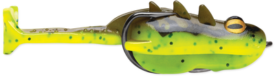 Storm Surge Frog