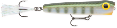 Storm Rattlin' Chug Bug®
