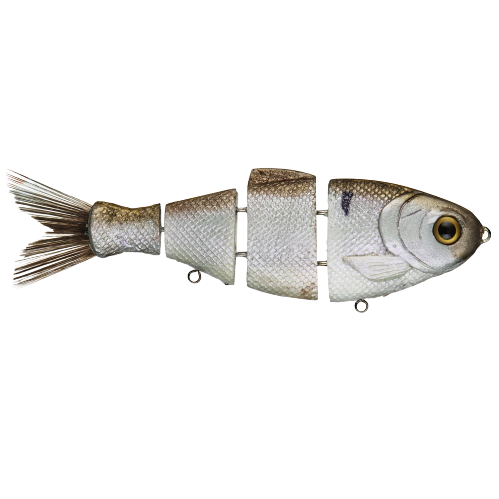 Bucca Shad Swimbait