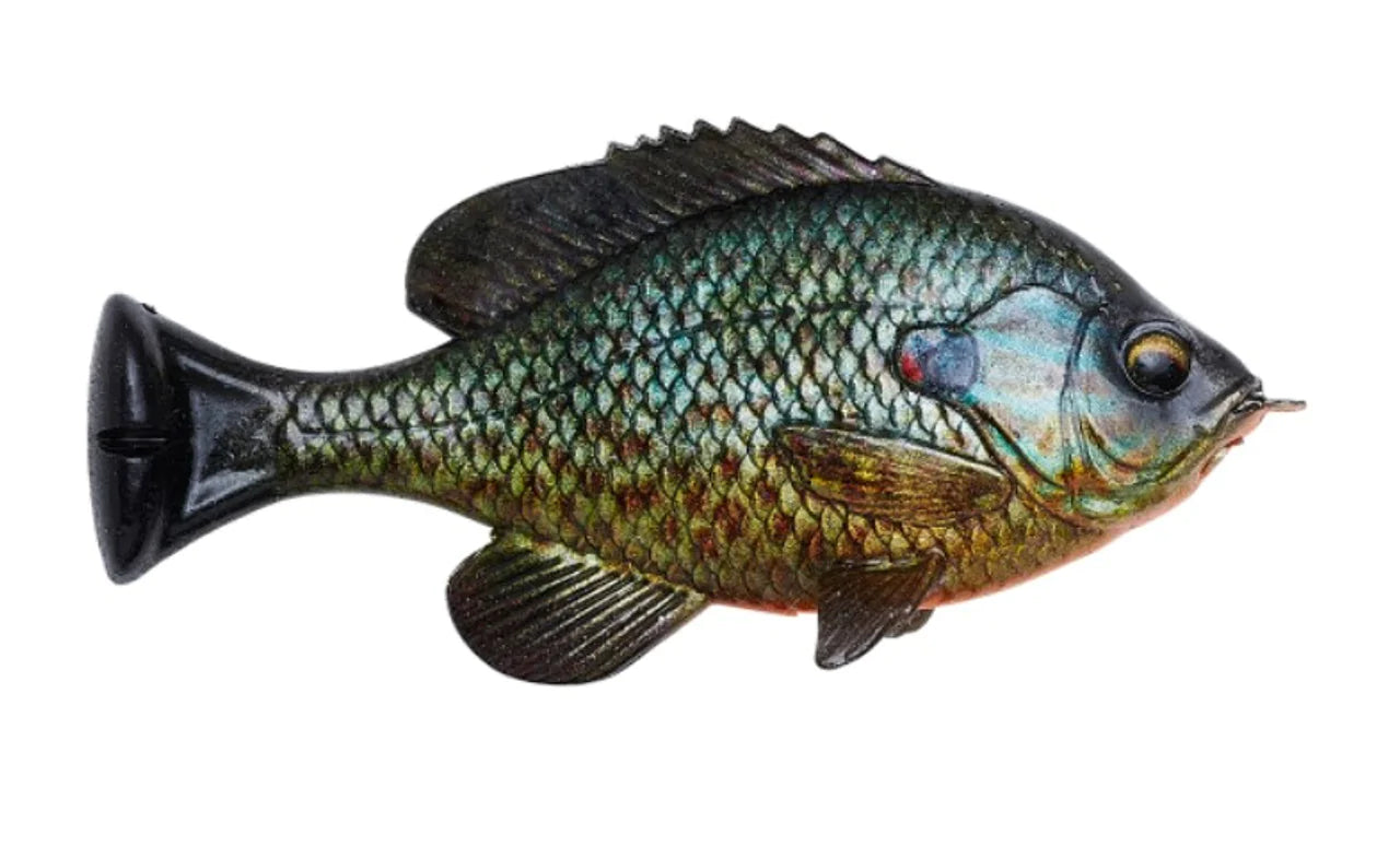 Savage Gear Pulse Tail Bluegill Native Watercraft