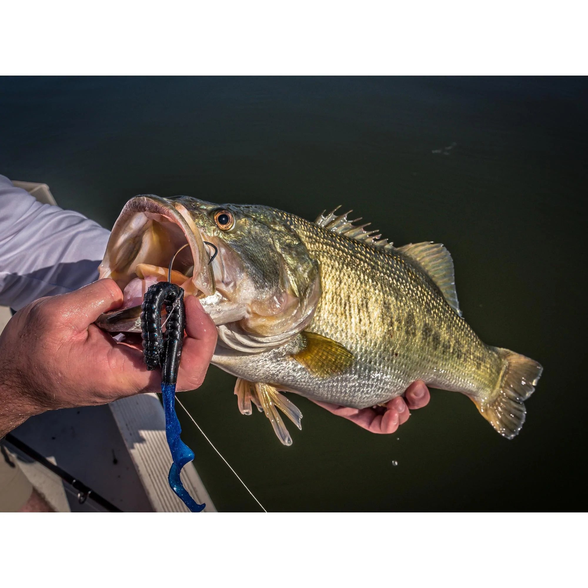 Berkley PowerBait® Power Worms® – Native Watercraft